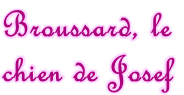 Broussard, le  chien de Josef